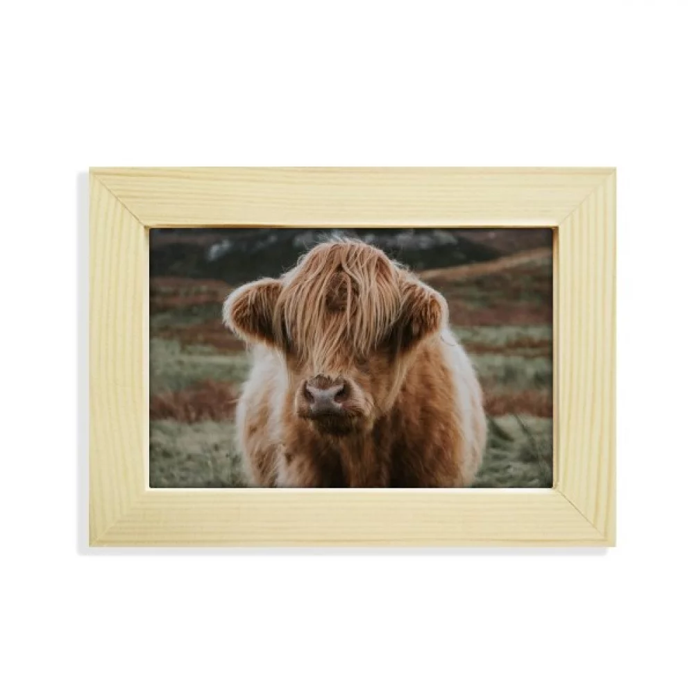 m Animal Buffalo Desktop Decorate Photo Frame Picture Art Painting 5x7 inch