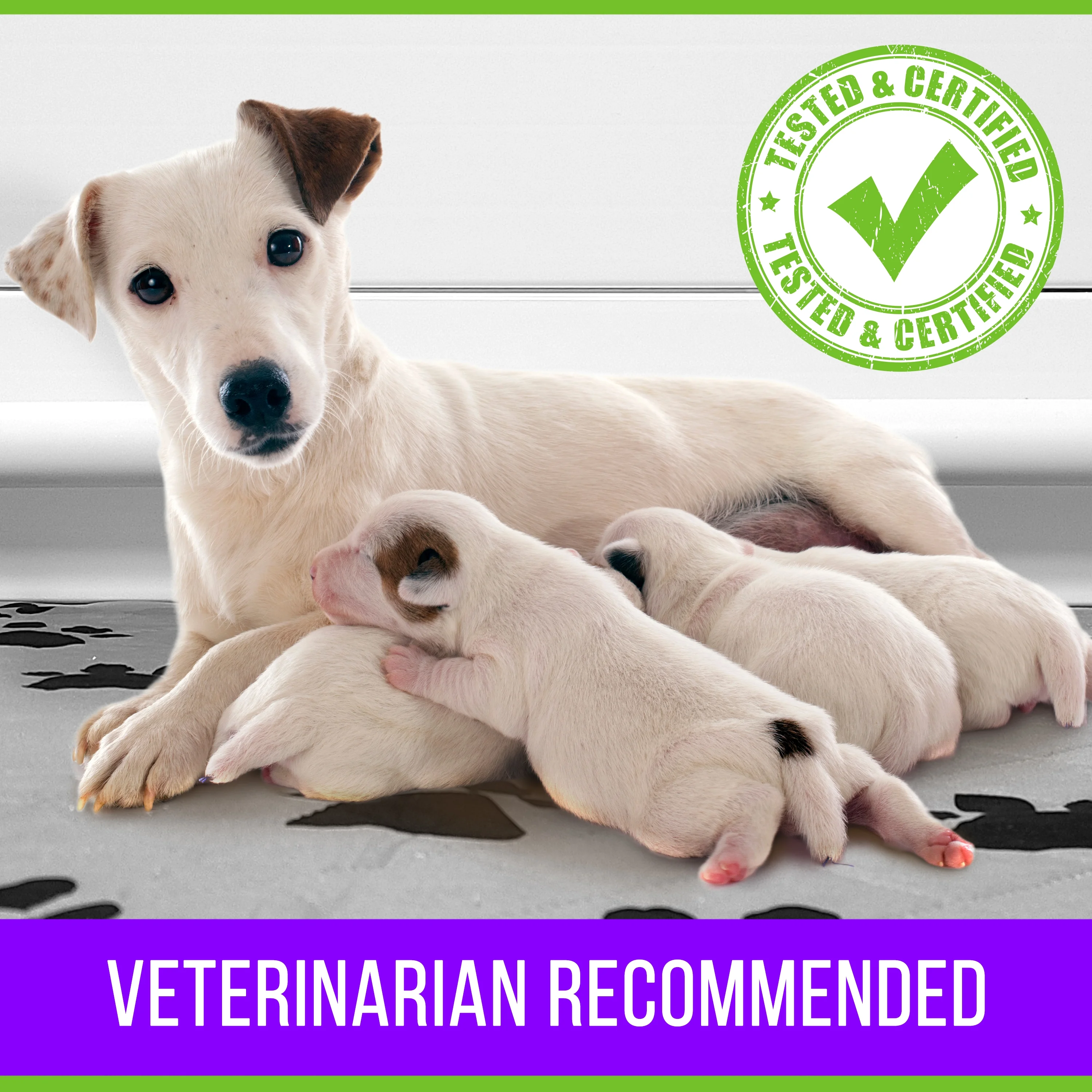 Whelping Box For Dogs With Washable Whelping Pad, Large 45 x 45 Plastic Dog Crate Puppy Birthing Supplies