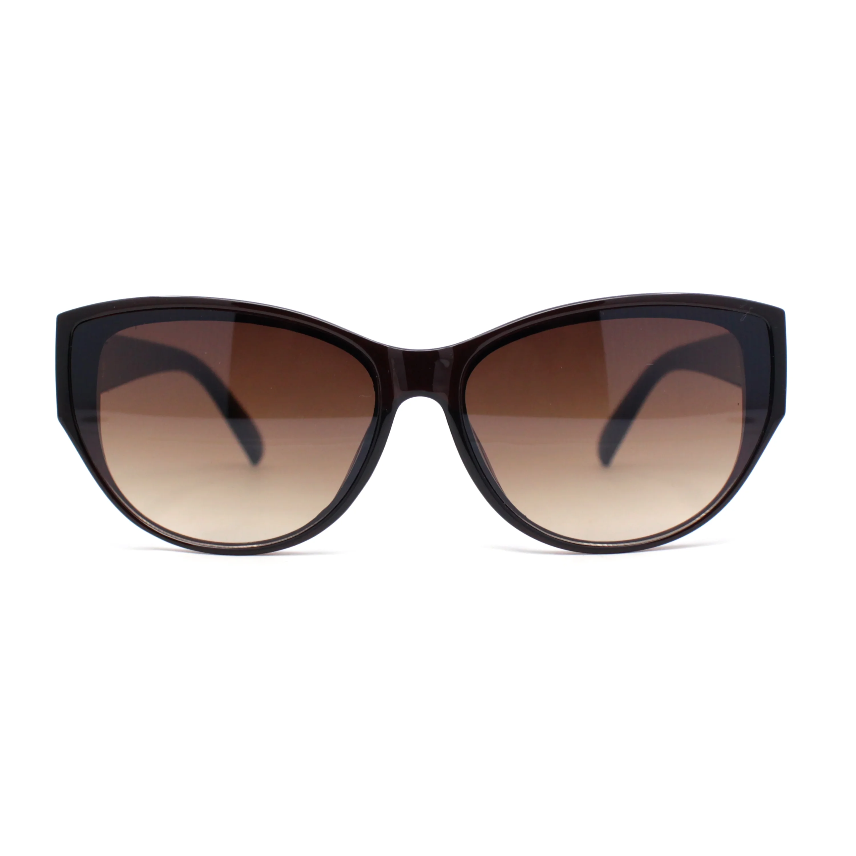 Womens Luxury Thick Plastic Oversized Cat Eye Chic Retro Sunglasses All Brown