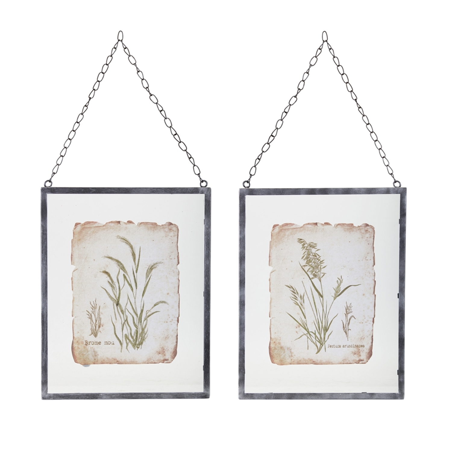 Maykoosh Metal Framed Grass Print Under Glass (Set Of 2)