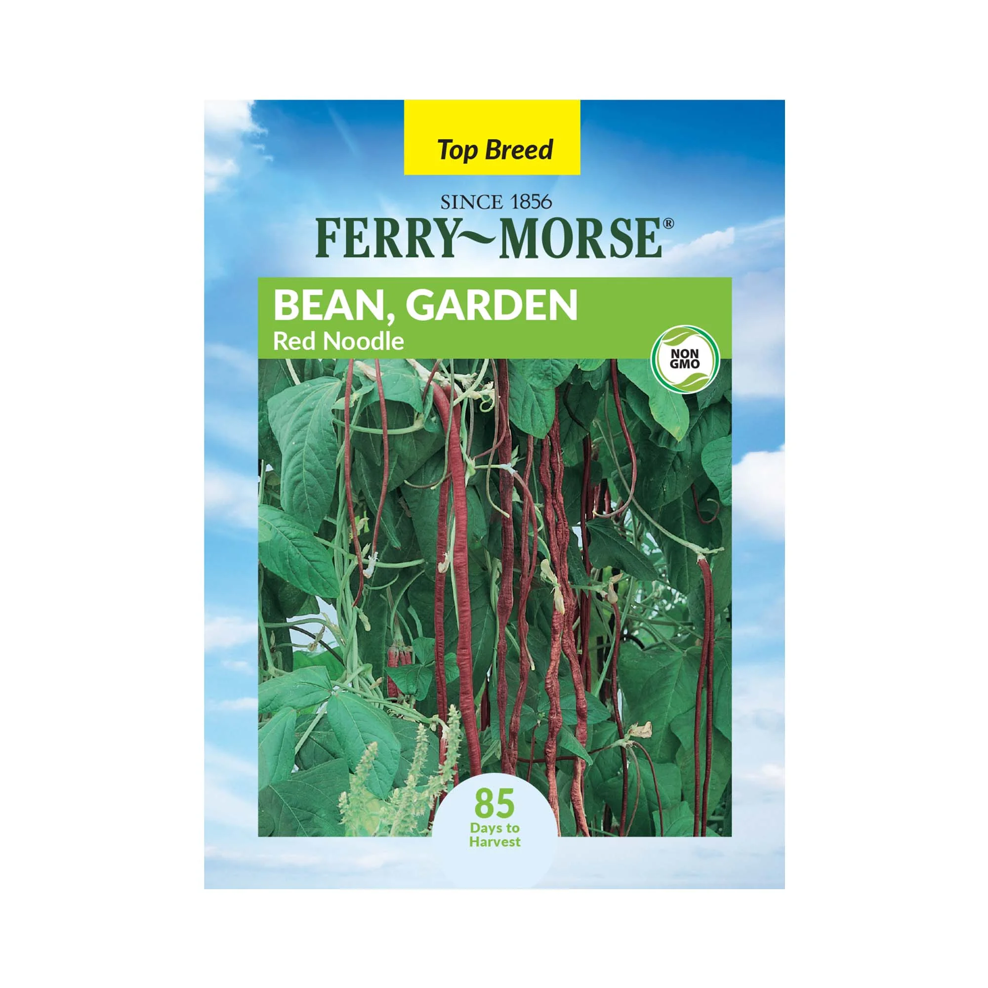 Ferry-Morse 8000MG Bean Garden Red Noodle Vegetable Plant Seeds Full Sun