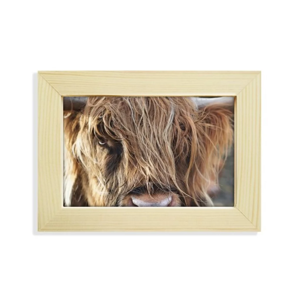 m Animal Buffalo Desktop Decorate Photo Frame Picture Art Painting 5x7 inch