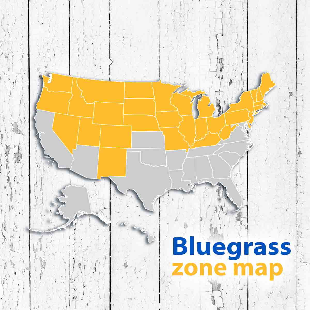 Bluegrass 500 sq. ft. Sod Pallet