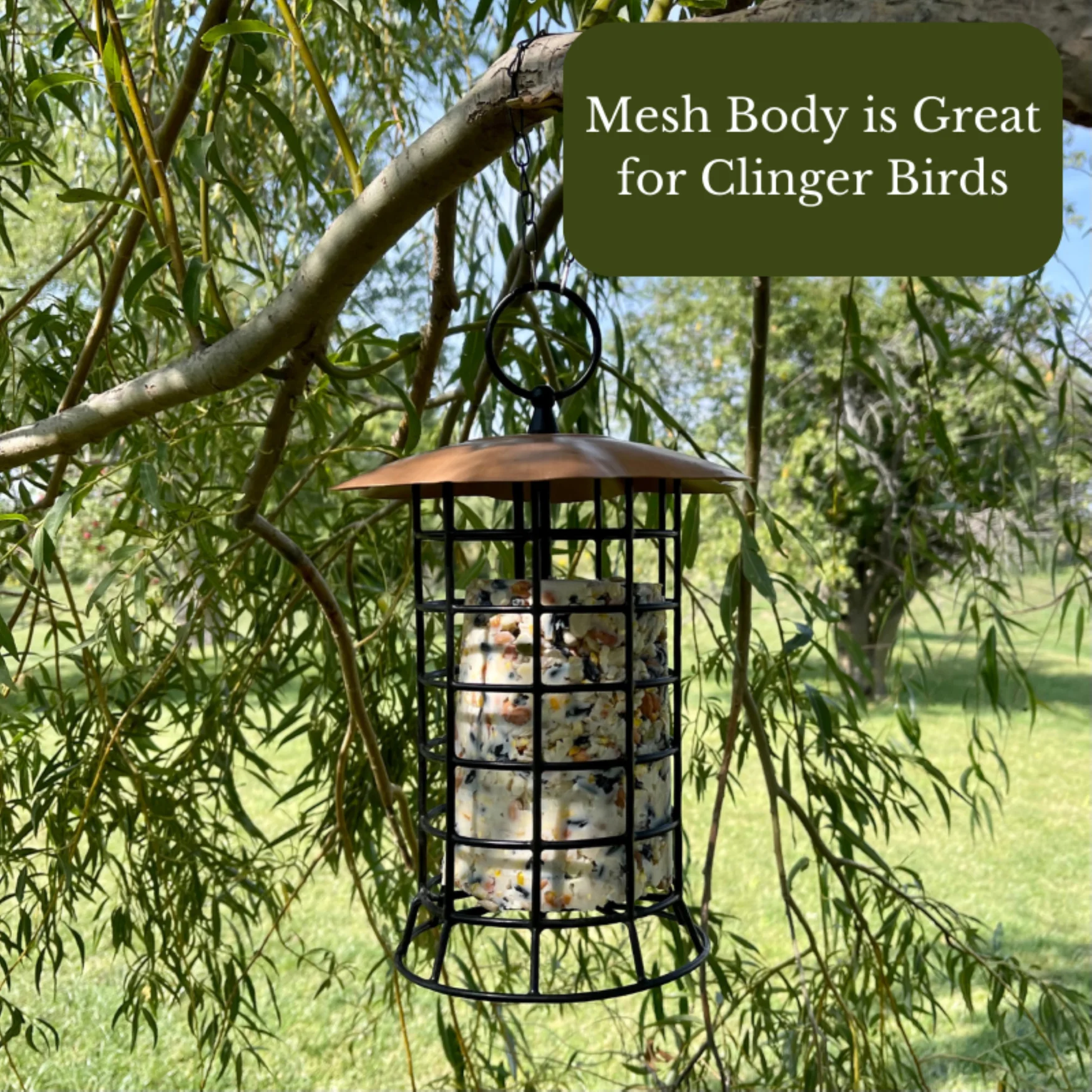 Songbird Essentials Suet Feeder Hanging Metal Bird Feeder for Suet Logs, 1 Log Capacity Copper