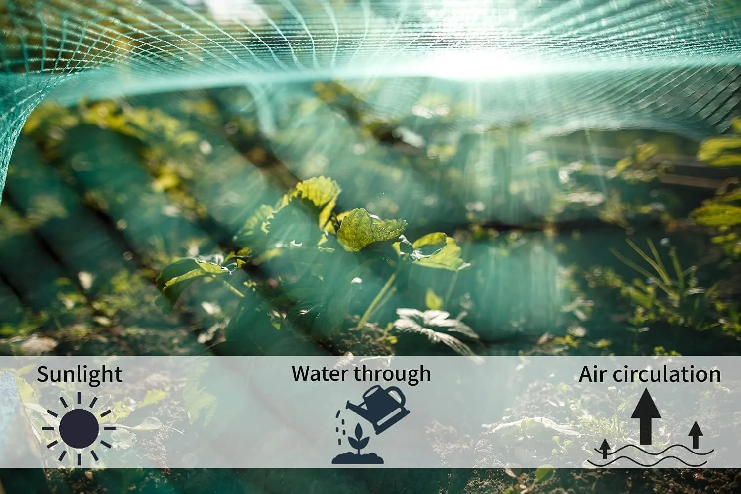 Bord Bird Netting for Garden (13ft x 33ft) Garden Netting Pest Barrier,Cicada Netting Protect Fruit Trees Blueberry Bushes Vegetable Plant,for Garden Against Birds, Deer, Squirrels