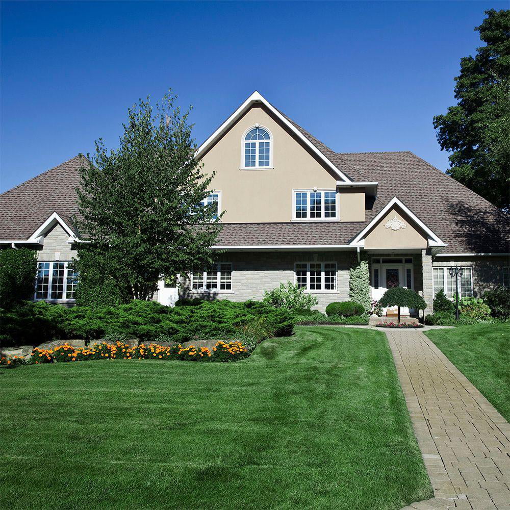 Bluegrass 500 sq. ft. Sod Pallet