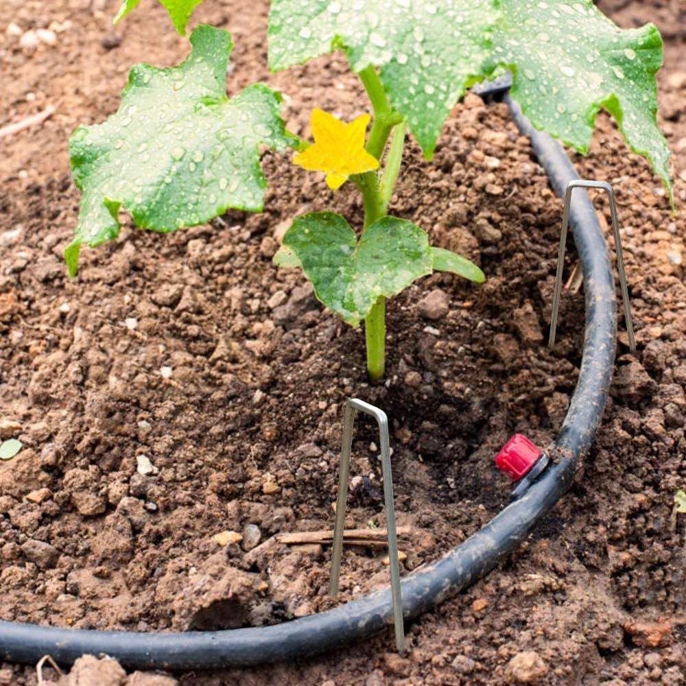 GARDEN & HOME 6 Inch Garden Stakes Galvanized Landscape Staples 11 Gauge 500 Pack Sod Pins Fence Stakes for Anchoring Weed Barrier Fabric Ground Cover Landscaping Tubing Garden Staples