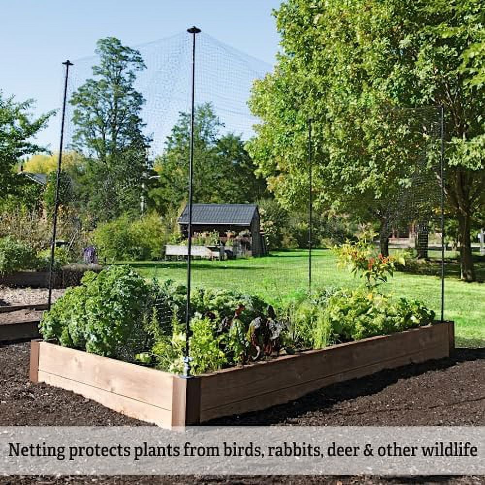 Gardeners   Garden Stake Netting Support | Heavy Duty Powder Coated Steel Garden Fencing ion Frame Support | Ideal For Yard And Lawn Plant Cages - (Set Of 6)