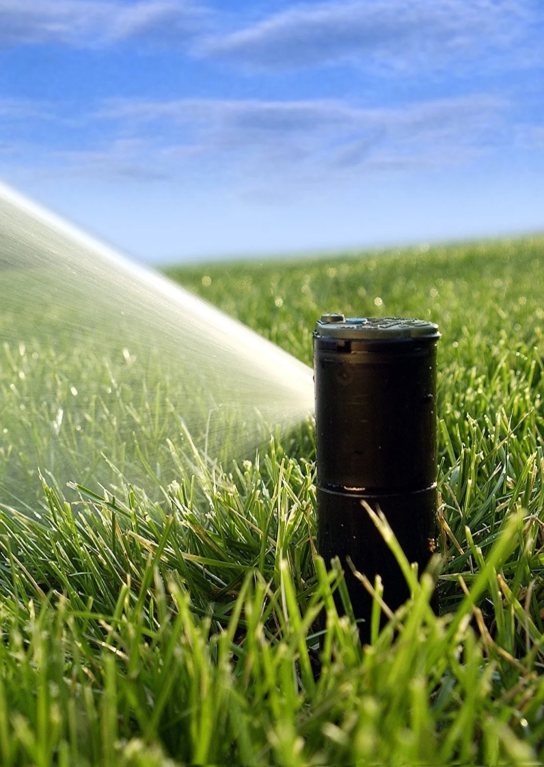 Rain Bird Pop-Up Rotor Sprinkler Head,Plastic 42SA+