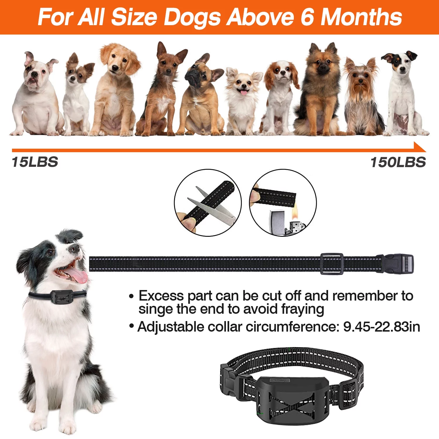 Electric Dog Collar Receiver iMounTEK Dog Training Collar Dog Shock Collar 3 Training Modes Beep Vibration and Shock Up to 850ft Remote Range Rainproof for Small Medium Large Dogs