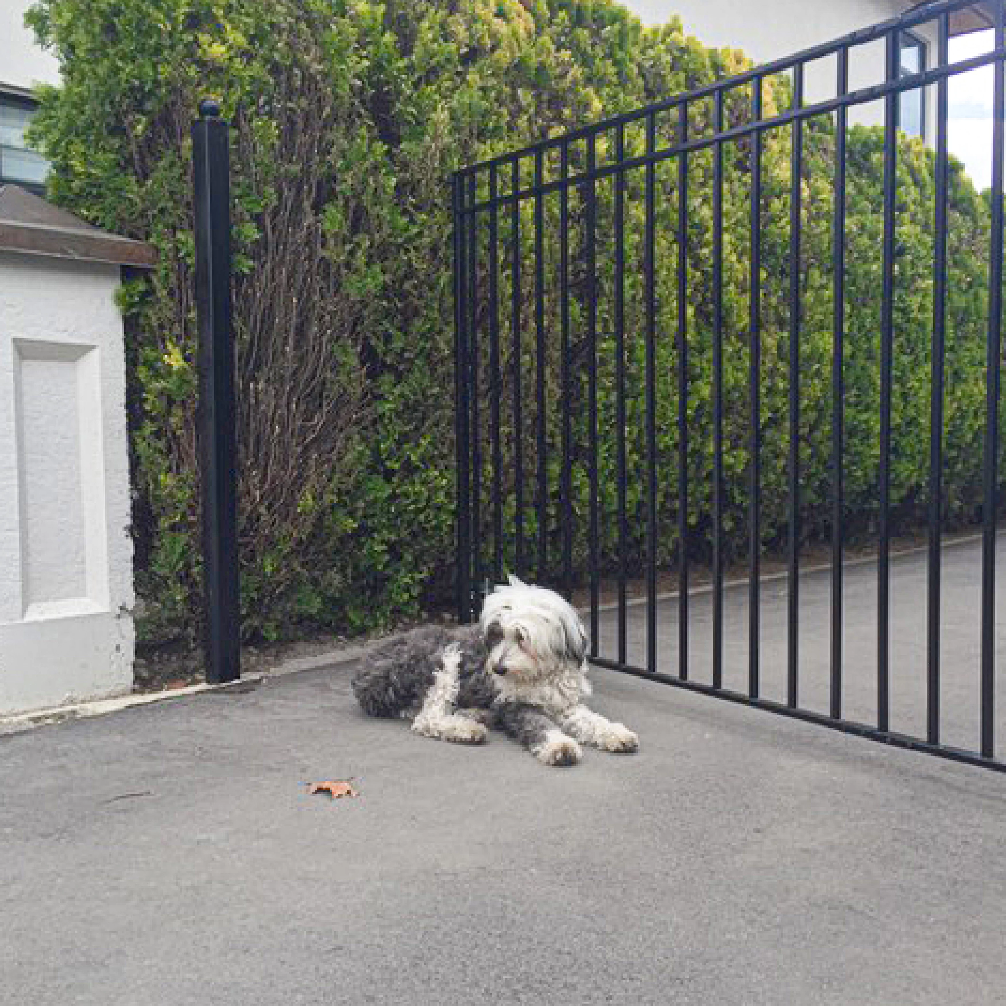 ALEKO Steel Single Swing Driveway Gate - MADRID Style - 12 x 6 ft