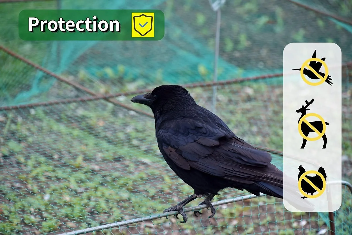 Bord Bird Netting for Garden (13ft x 33ft) Garden Netting Pest Barrier,Cicada Netting Protect Fruit Trees Blueberry Bushes Vegetable Plant,for Garden Against Birds, Deer, Squirrels