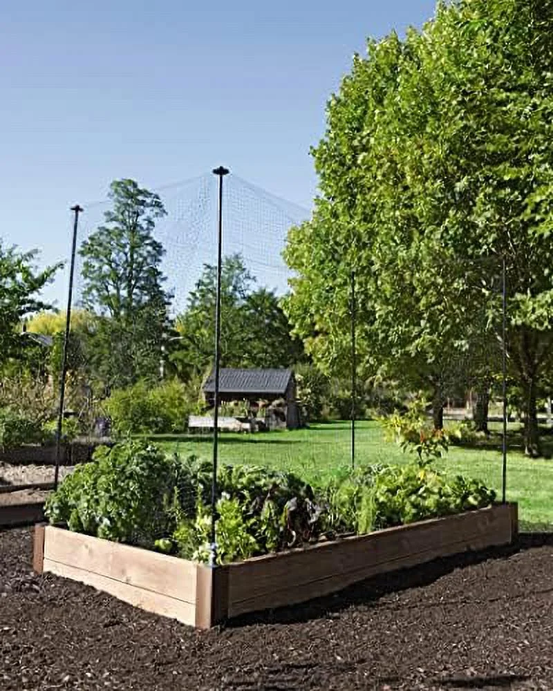 Gardeners   Garden Stake Netting Support | Heavy Duty Powder Coated Steel Garden Fencing ion Frame Support | Ideal For Yard And Lawn Plant Cages - (Set Of 6)