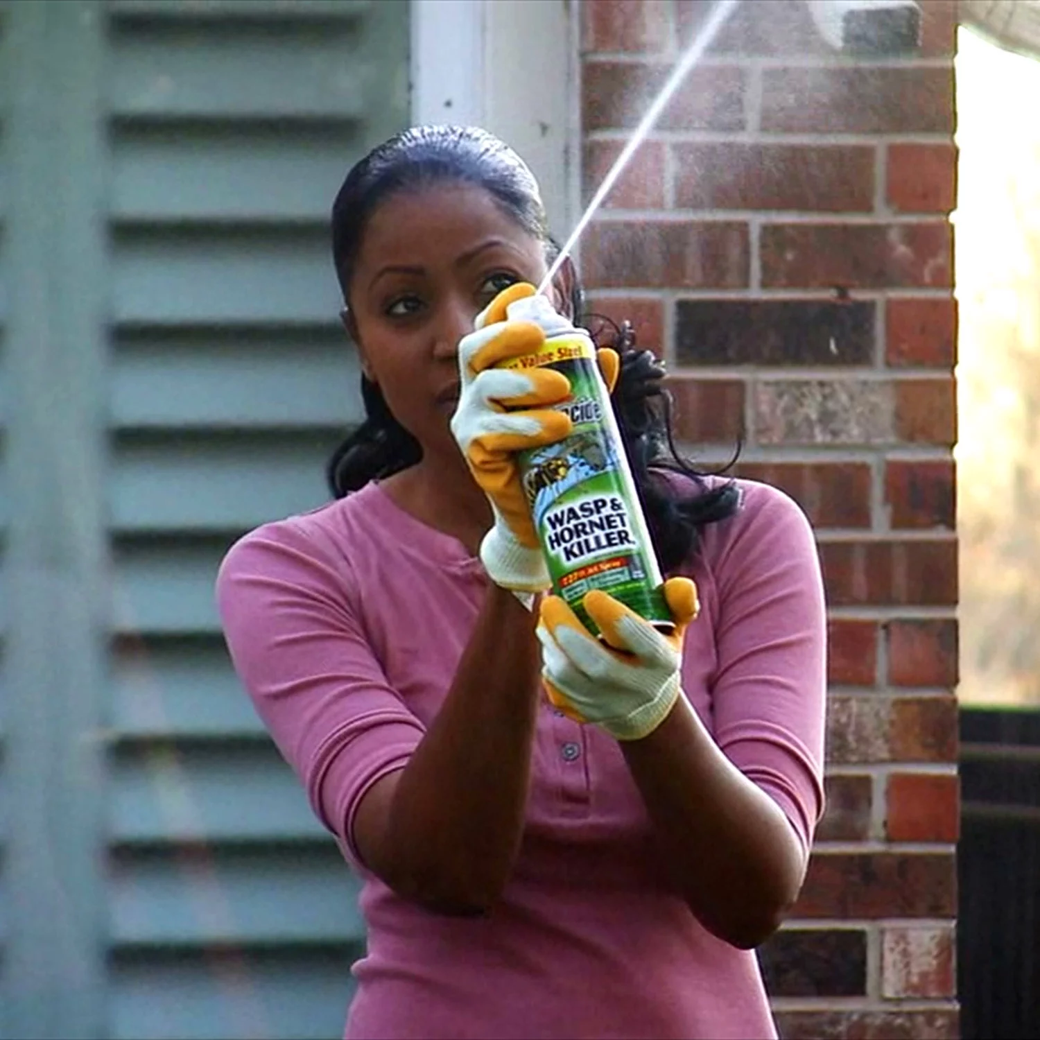 Spectracide Wasp & Hornet Killer Aerosol Spray, 20 Oz., 3 Count