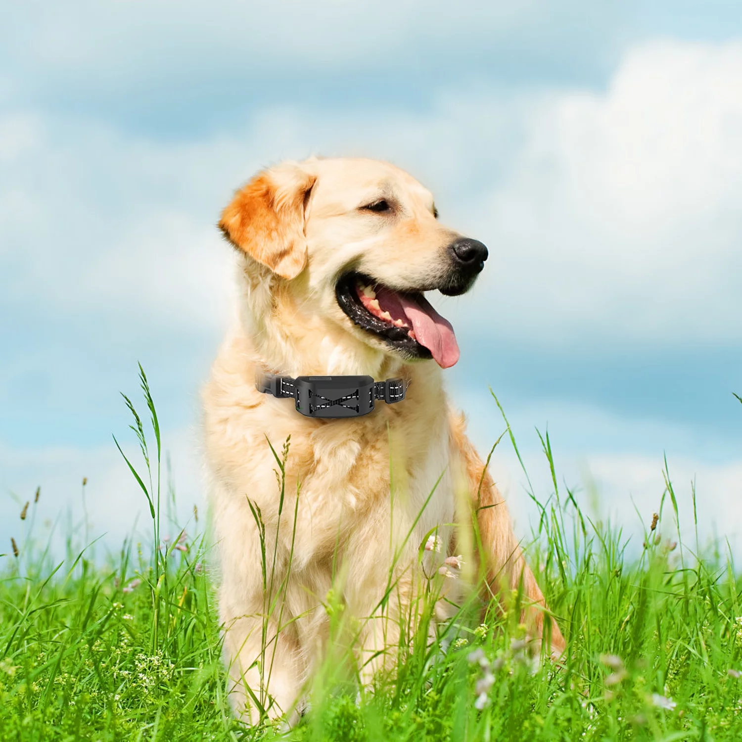 Electric Dog Collar Receiver iMounTEK Dog Training Collar Dog Shock Collar 3 Training Modes Beep Vibration and Shock Up to 850ft Remote Range Rainproof for Small Medium Large Dogs