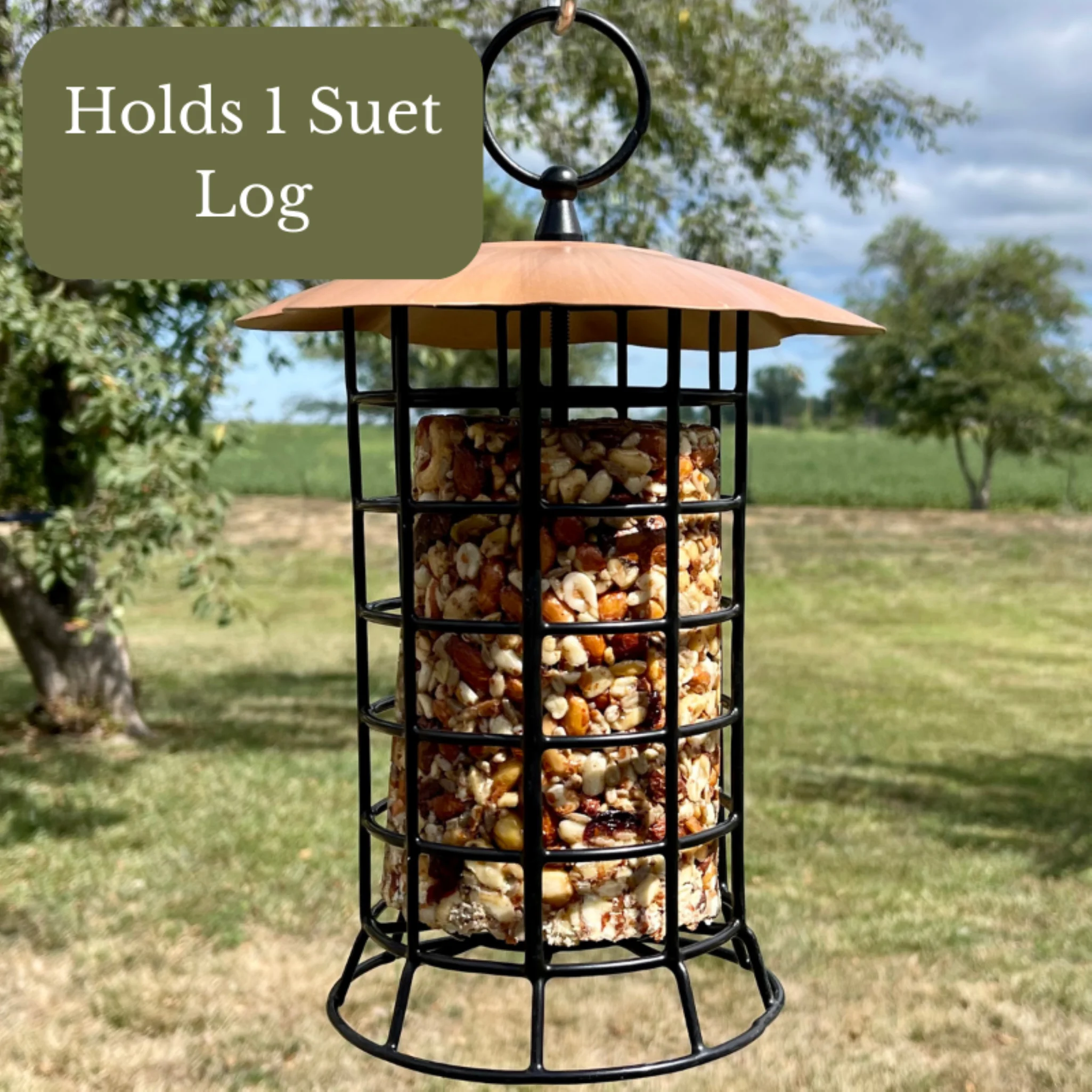 Songbird Essentials Suet Feeder Hanging Metal Bird Feeder for Suet Logs, 1 Log Capacity Copper