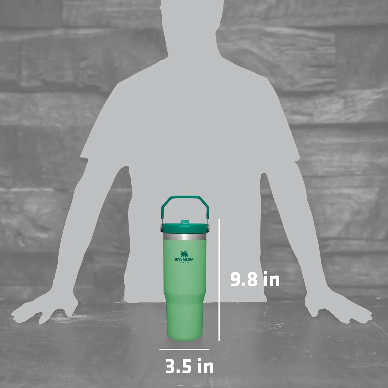 Stanley IceFlow Stainless Steel Tumbler with Straw, Vacuum Insulated Water Bottle for Home, Office or Car, Reusable Cup with Straw Leak Resistant Flip