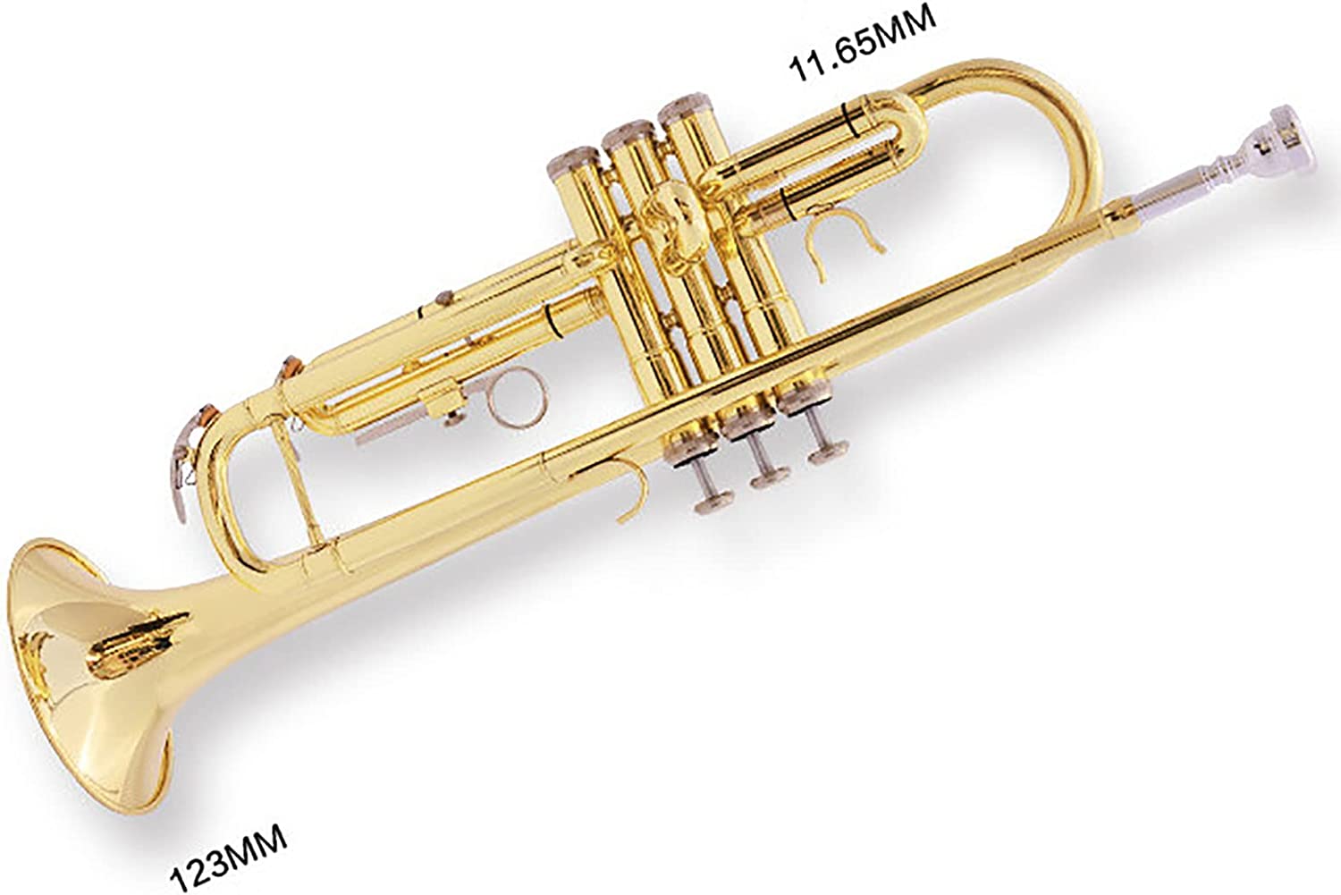 Bb Standard Trumpet Set for Beginner, Brass Student Trumpet Instrument with Hard Case, Cleaning Kit (B)