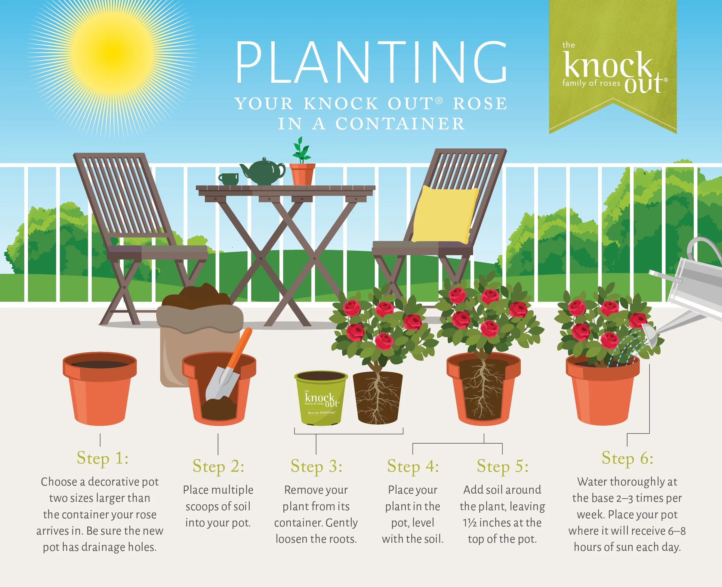 The Pink Double Knock Out® Tree Rose Plant with Bright Bubblegum Pink Blooms (3 Gallon)