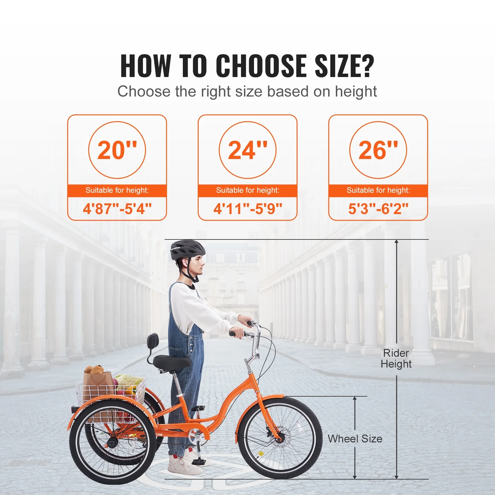 SKYSHALO 3 Wheel 24