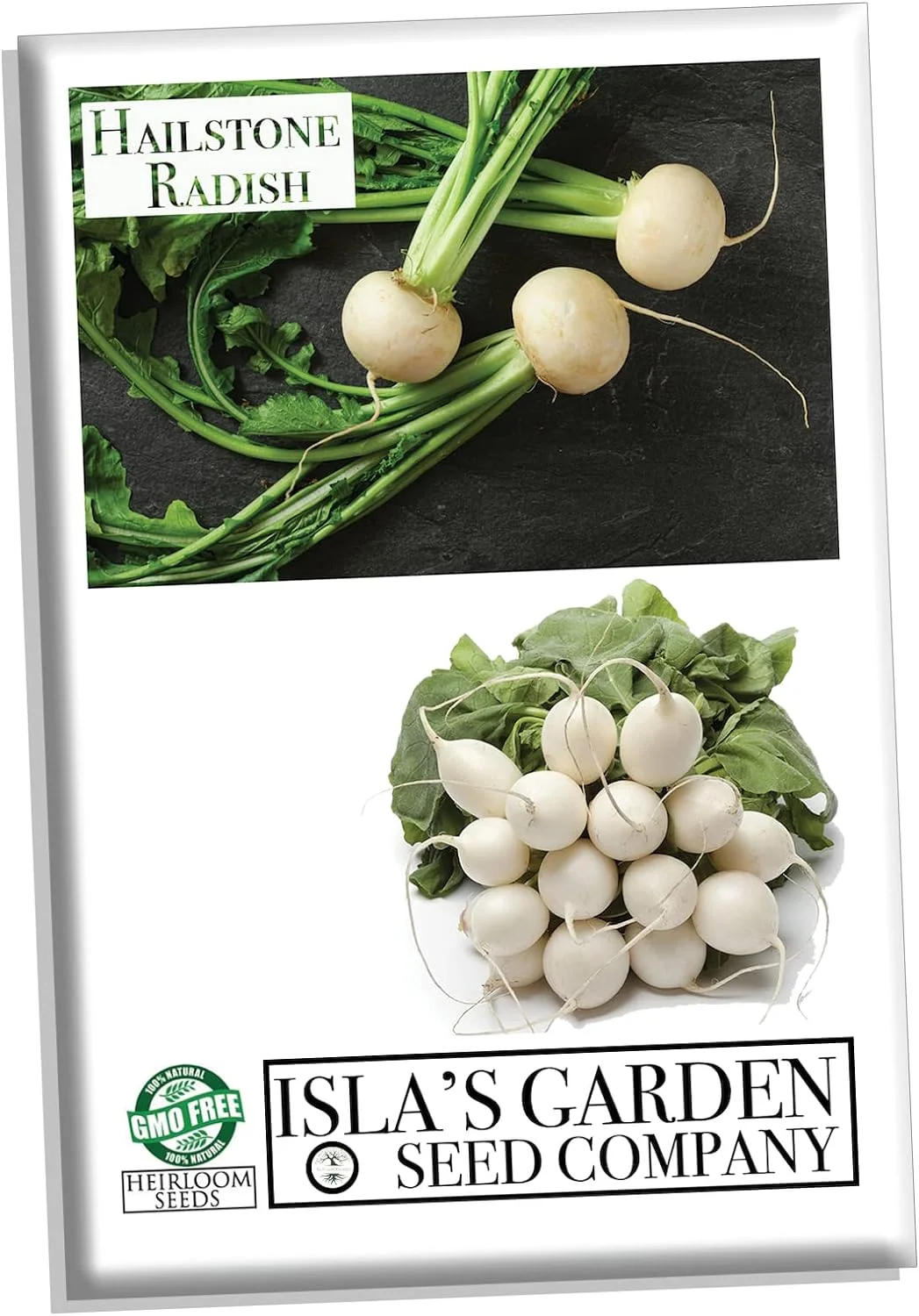 Hailstone Radish Seeds, 250+ Heirloom Seeds, Fantastic Addition to Your Home Garden! Pure White, Firm and Crisp! Non GMO, 90% Germination Rates, Seeds