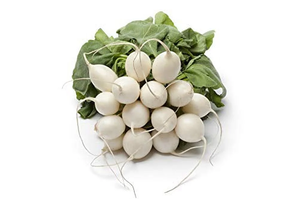 Hailstone Radish Seeds, 250+ Heirloom Seeds, Fantastic Addition to Your Home Garden! Pure White, Firm and Crisp! Non GMO, 90% Germination Rates, Seeds