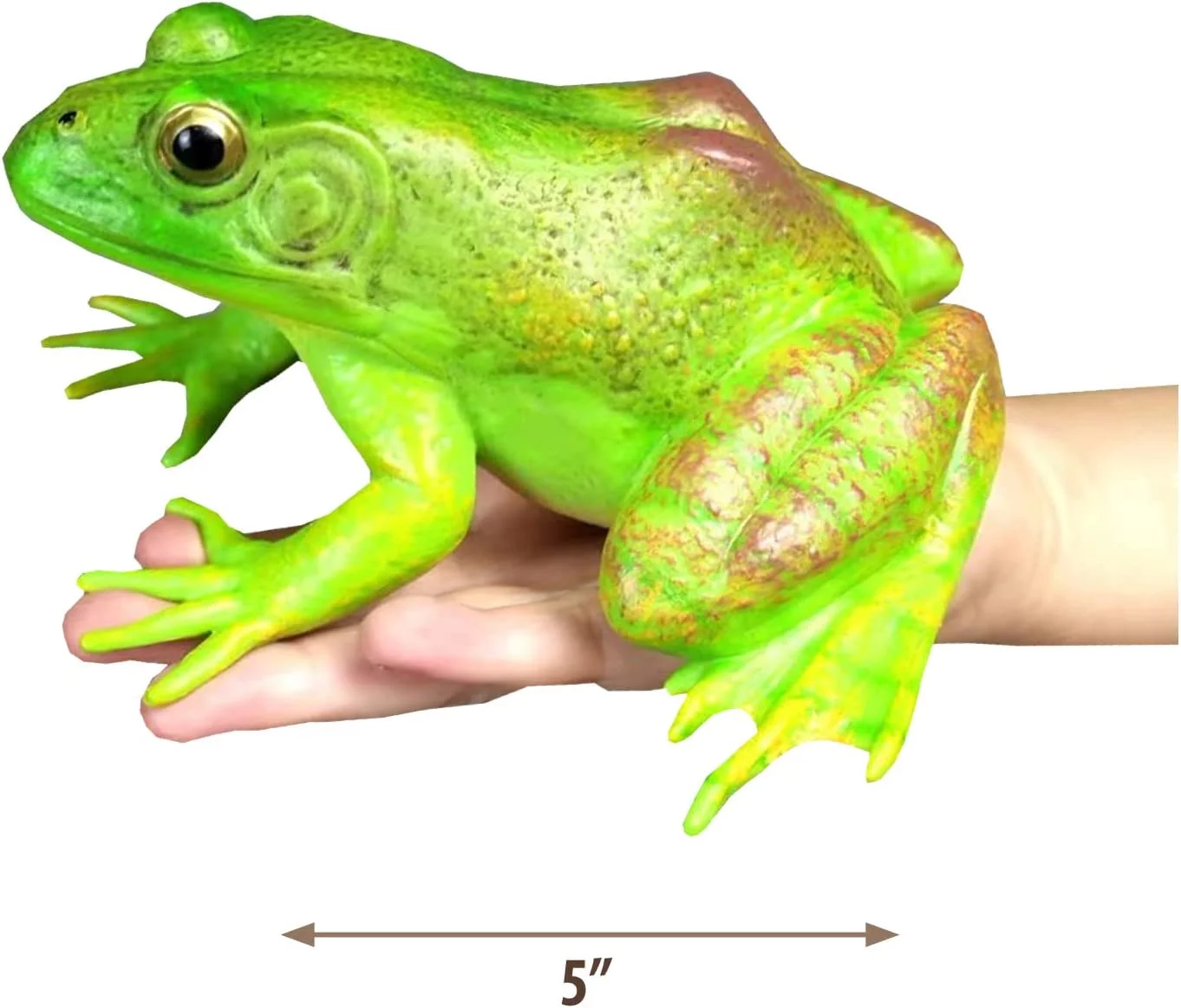 Tree Frog Realistic Hand Painted Toy Bullfrog Figurine Model Quality Construction Soft Rubber Animals Educational and Role Play Toys for Ages 3 and Up Kids