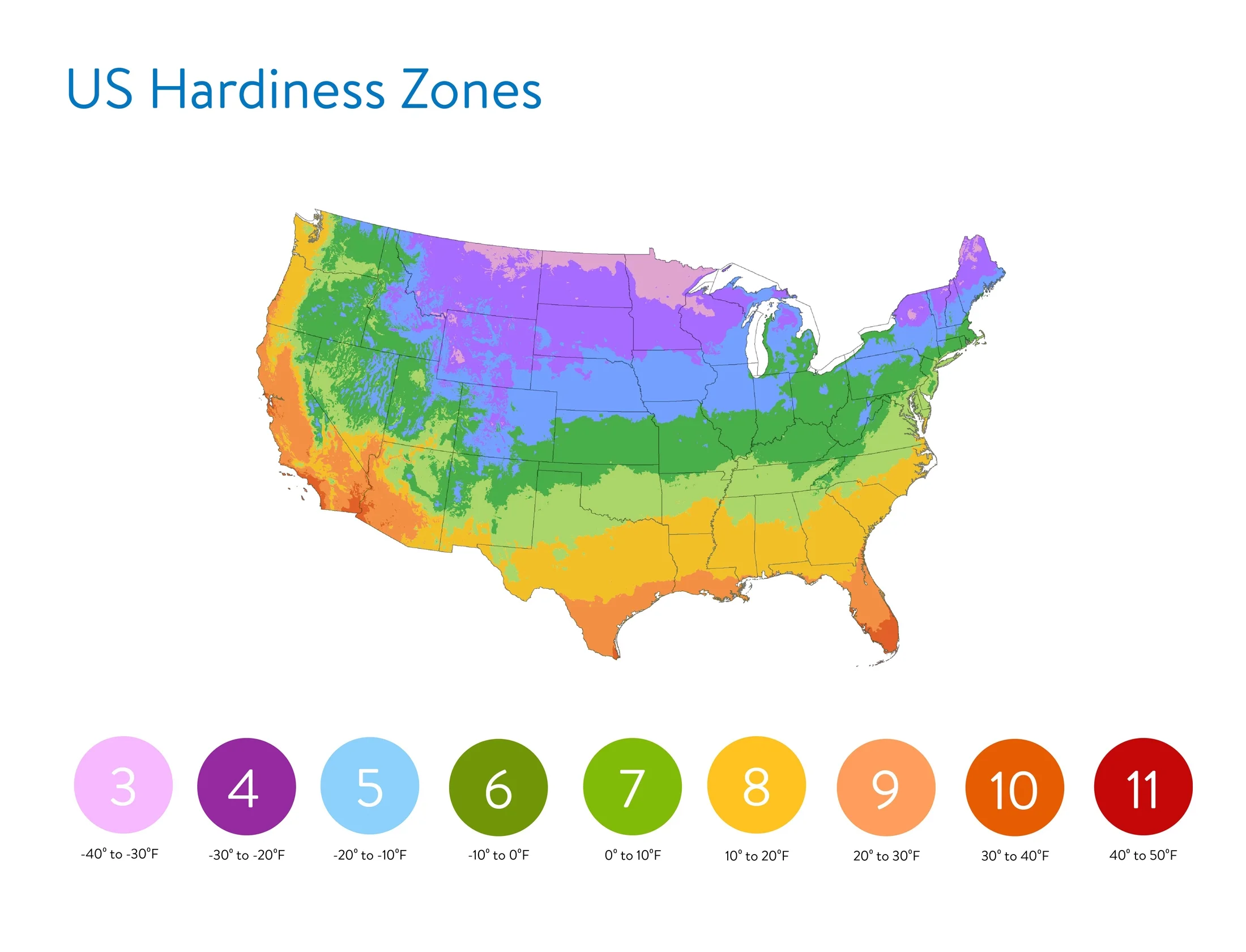 Sunfinity 2.5QT Yellow Sunflower Live Plants with Grower Pot
