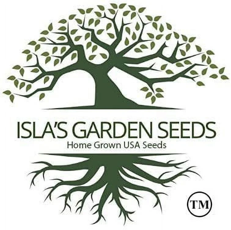 Hailstone Radish Seeds, 250+ Heirloom Seeds, Fantastic Addition to Your Home Garden! Pure White, Firm and Crisp! Non GMO, 90% Germination Rates, Seeds