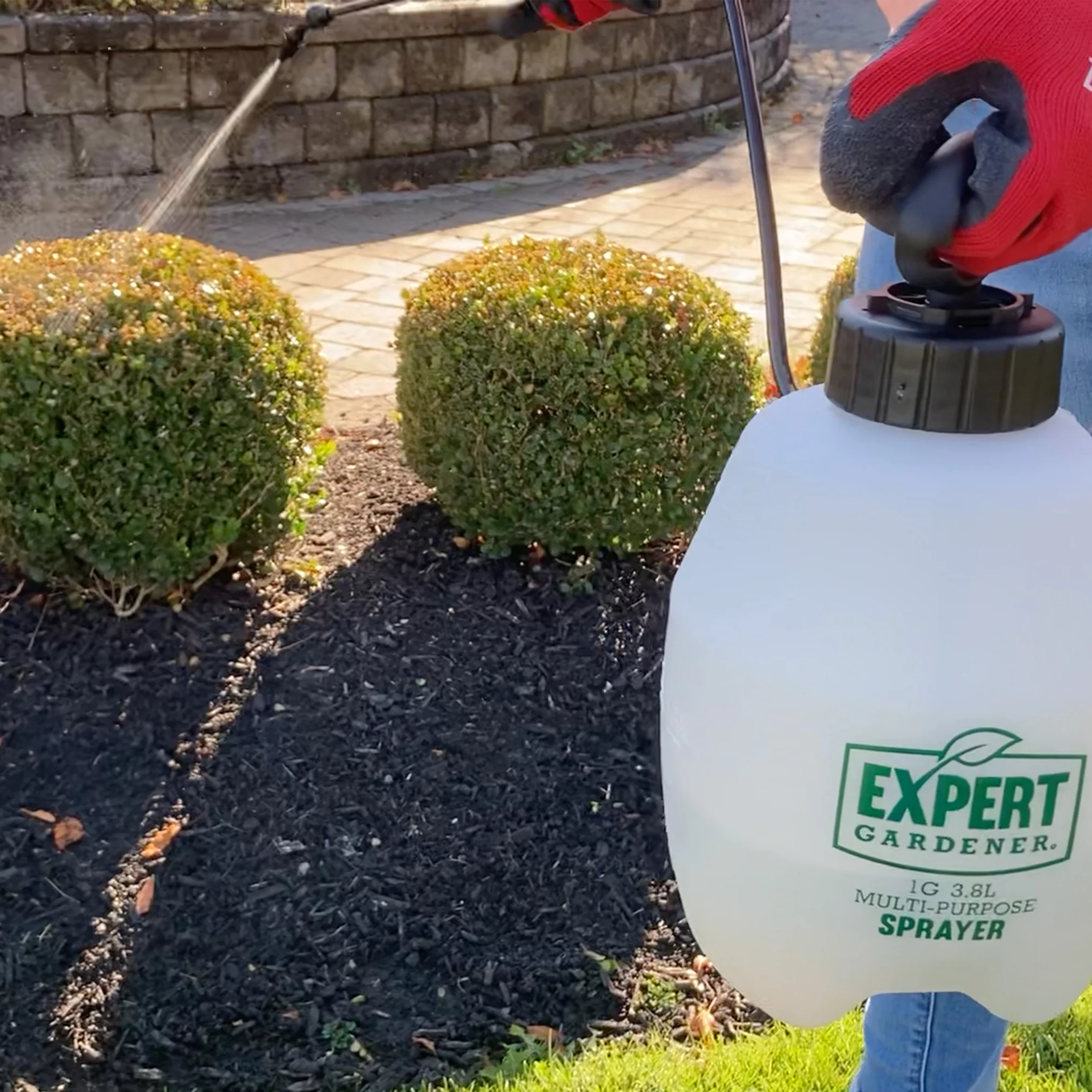 Walmart Expert Gardener 16133: 1-Gallon Multi-Purpose Poly Tank Sprayer for Lawn, Home and Garden