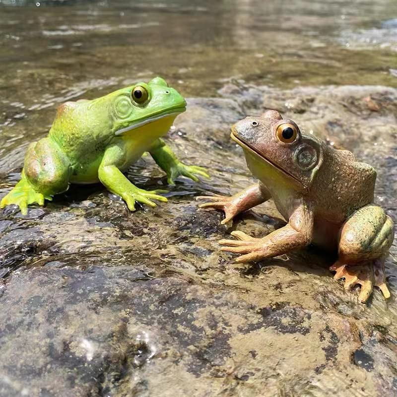 Tree Frog Realistic Hand Painted Toy Bullfrog Figurine Model Quality Construction Soft Rubber Animals Educational and Role Play Toys for Ages 3 and Up Kids