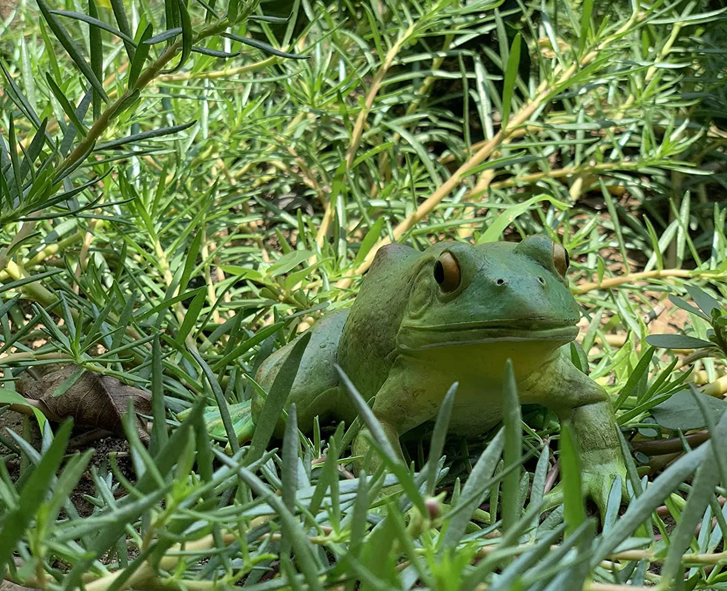 Tree Frog Realistic Hand Painted Toy Bullfrog Figurine Model Quality Construction Soft Rubber Animals Educational and Role Play Toys for Ages 3 and Up Kids