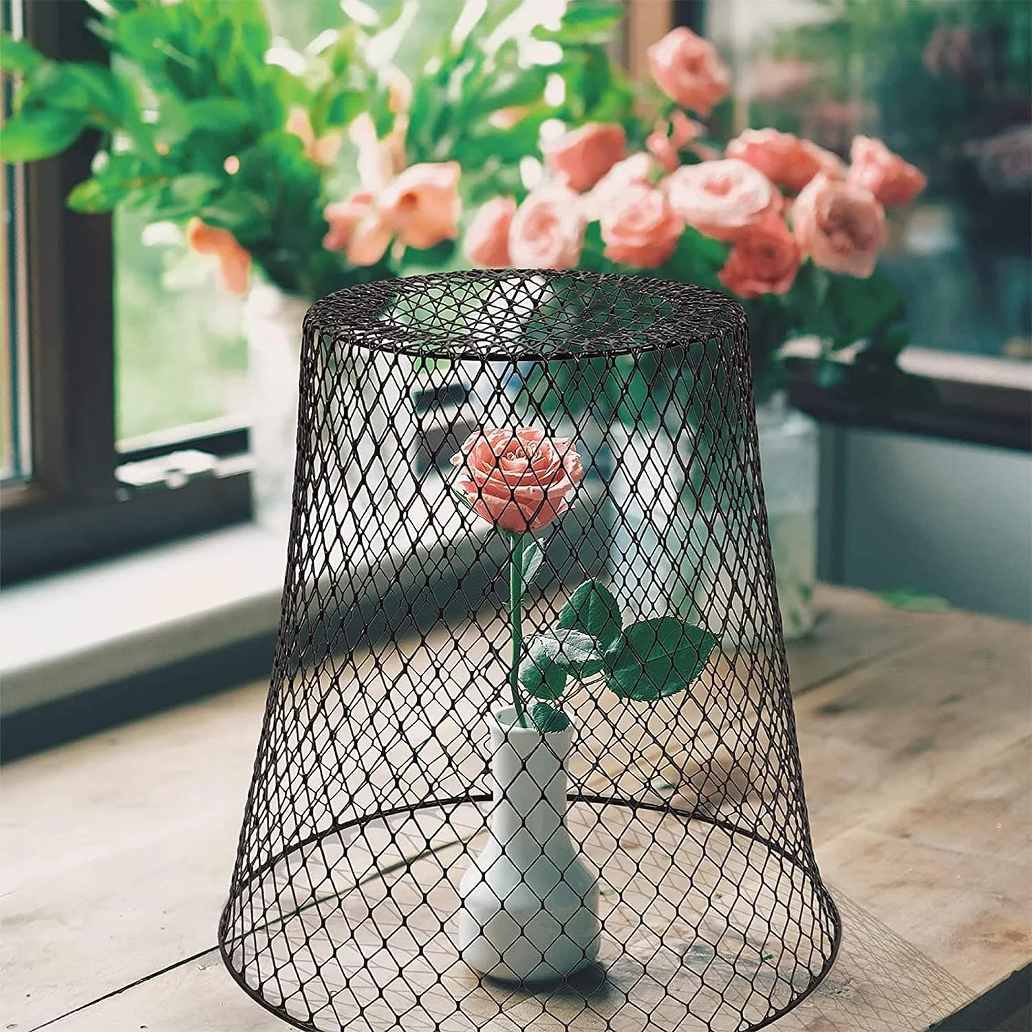 10 Pack Metal Garden Chicken Wire Plant Cloche, 9