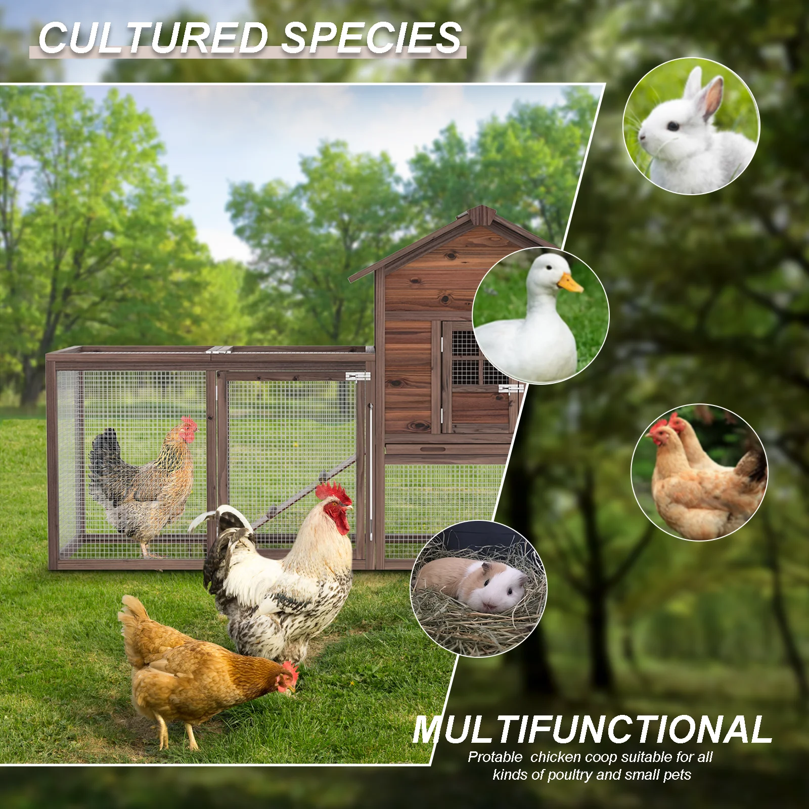 TANGJEAMER Wooden Chicken Coop Large Outdoor Hen House with Nest Box Poultry Cage Rabbit Hutch 80''- Waterproof UV Panel Brown