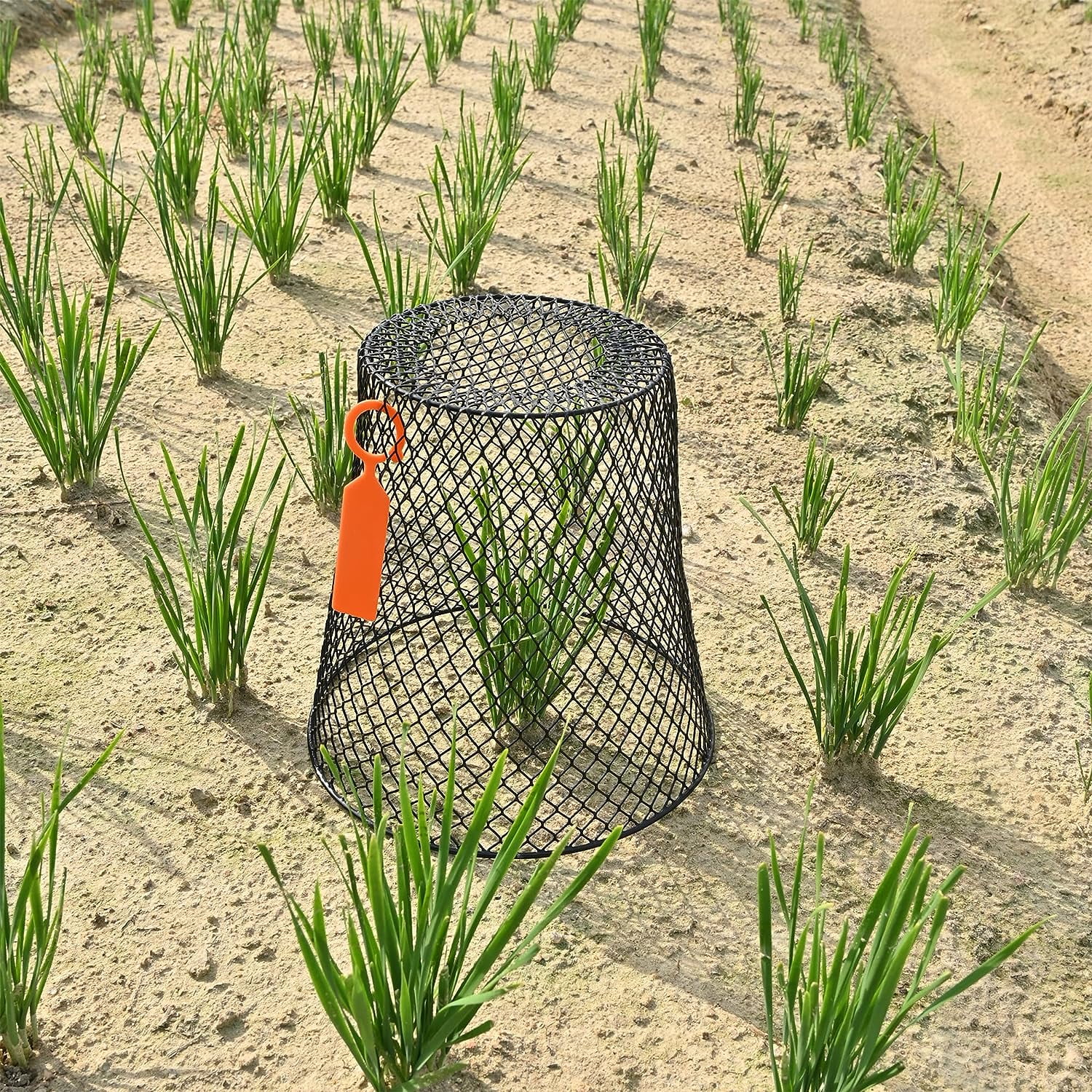 10 Pack Metal Garden Chicken Wire Plant Cloche, 9