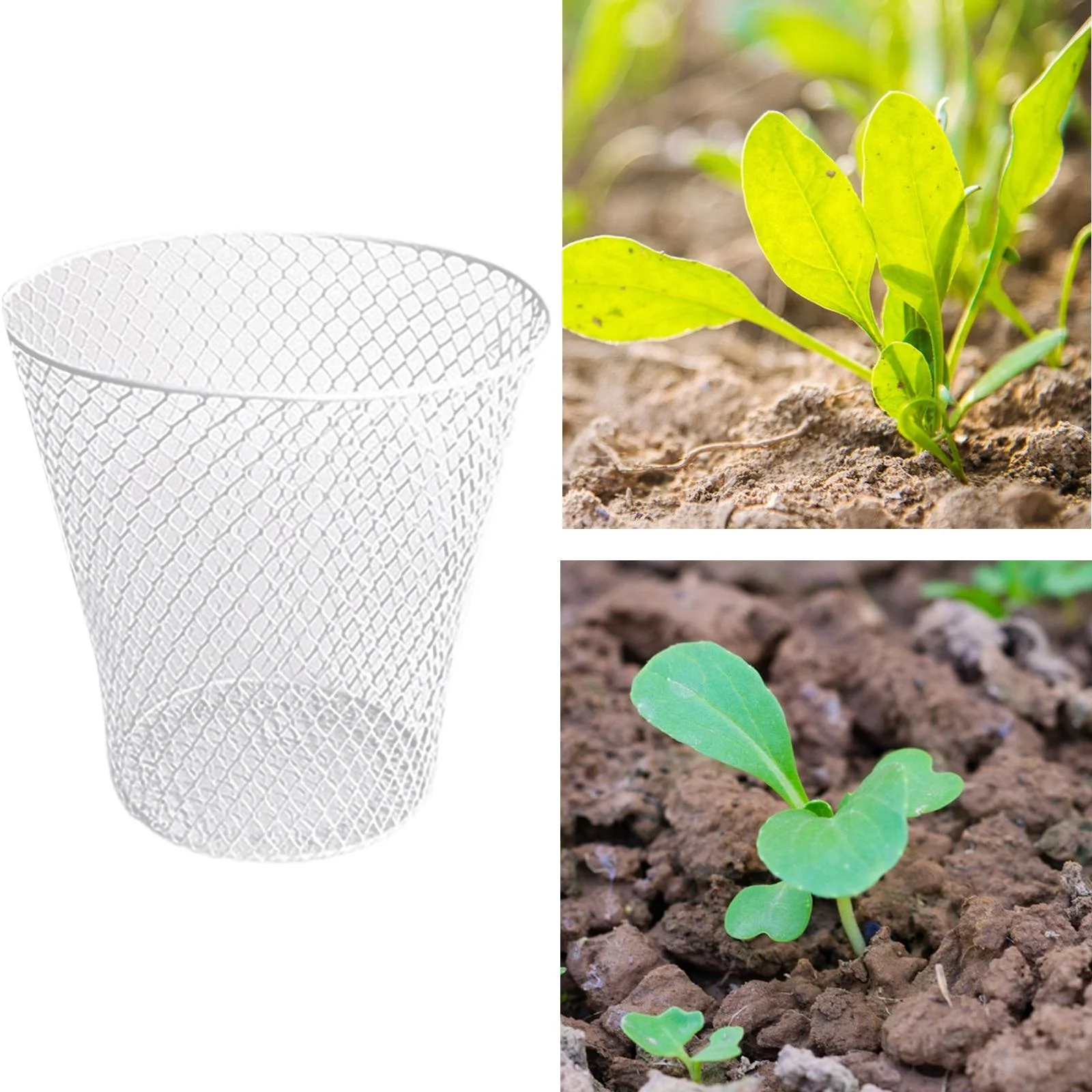 SunniMix Chicken Wire Cloche Plants Protector Cover Metal Garden Cloche for Bird Fruit White