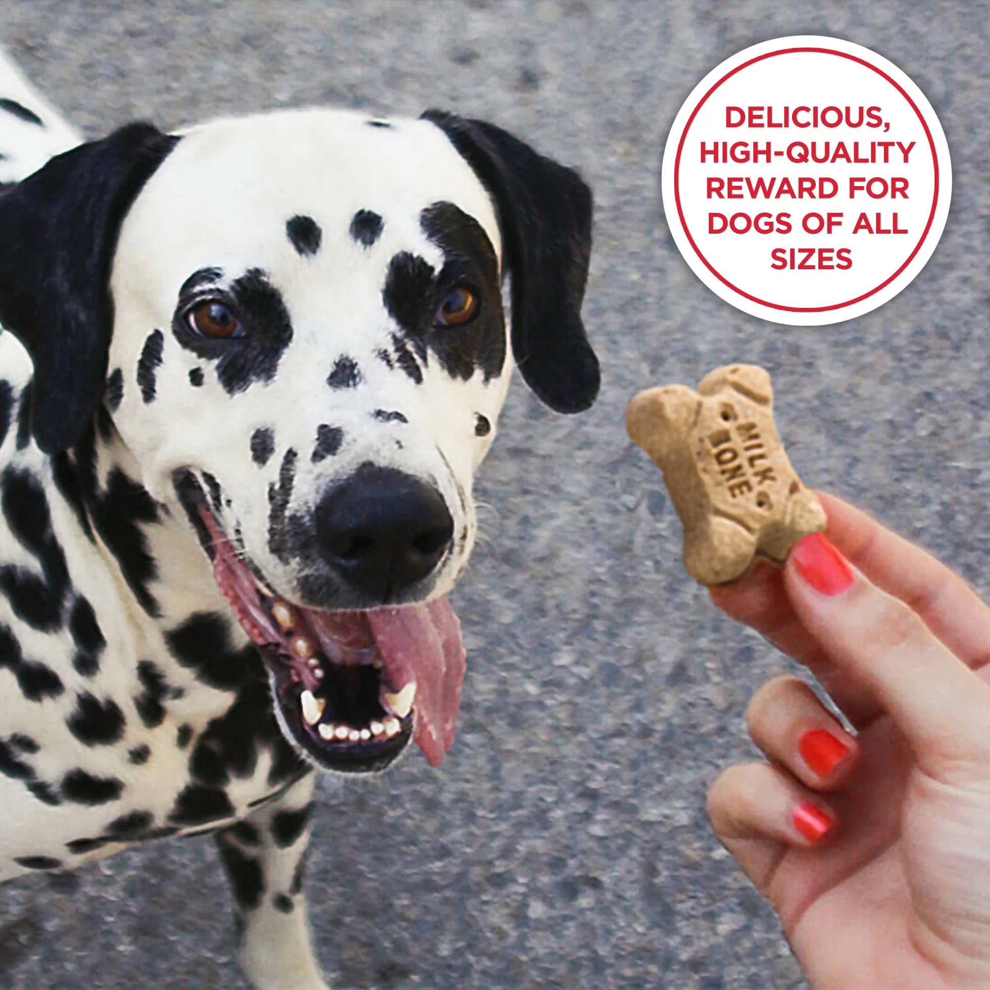 Milk-Bone Farmer's Medley Grain Free With Turkey & Pumpkin Dog Treats, 12 oz.