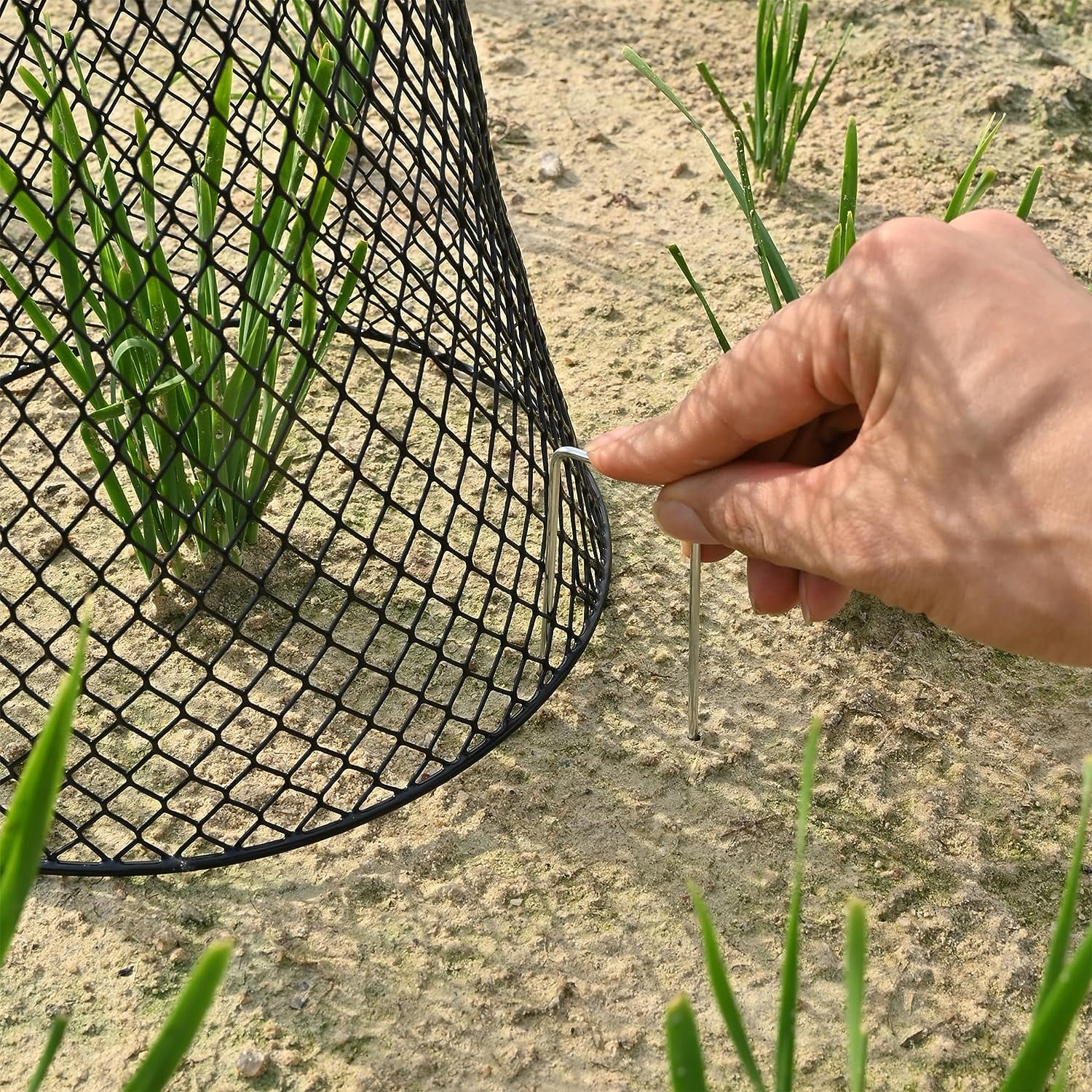 10 Pack Metal Garden Chicken Wire Plant Cloche, 9