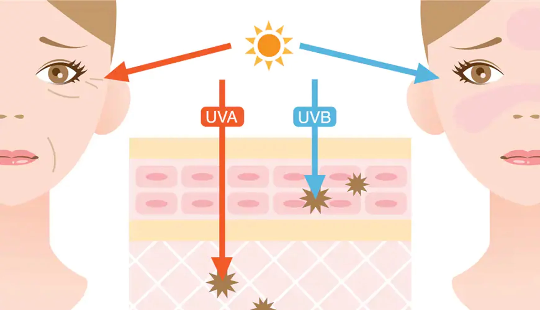 Forever Living 4oz Aloe Sunscreen SPF 30 Protection from UVA/UVB & Power of Aloe Vera Gel