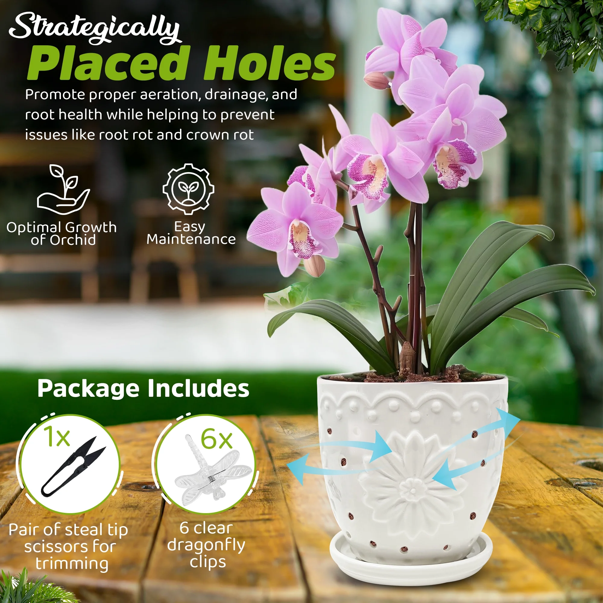 WILD ROOTS CO Ceramic Orchid Pot with Holes for repotting. Includes Steel tip prunning Scissors and six Transparent Dragonfly Orchid Clips.