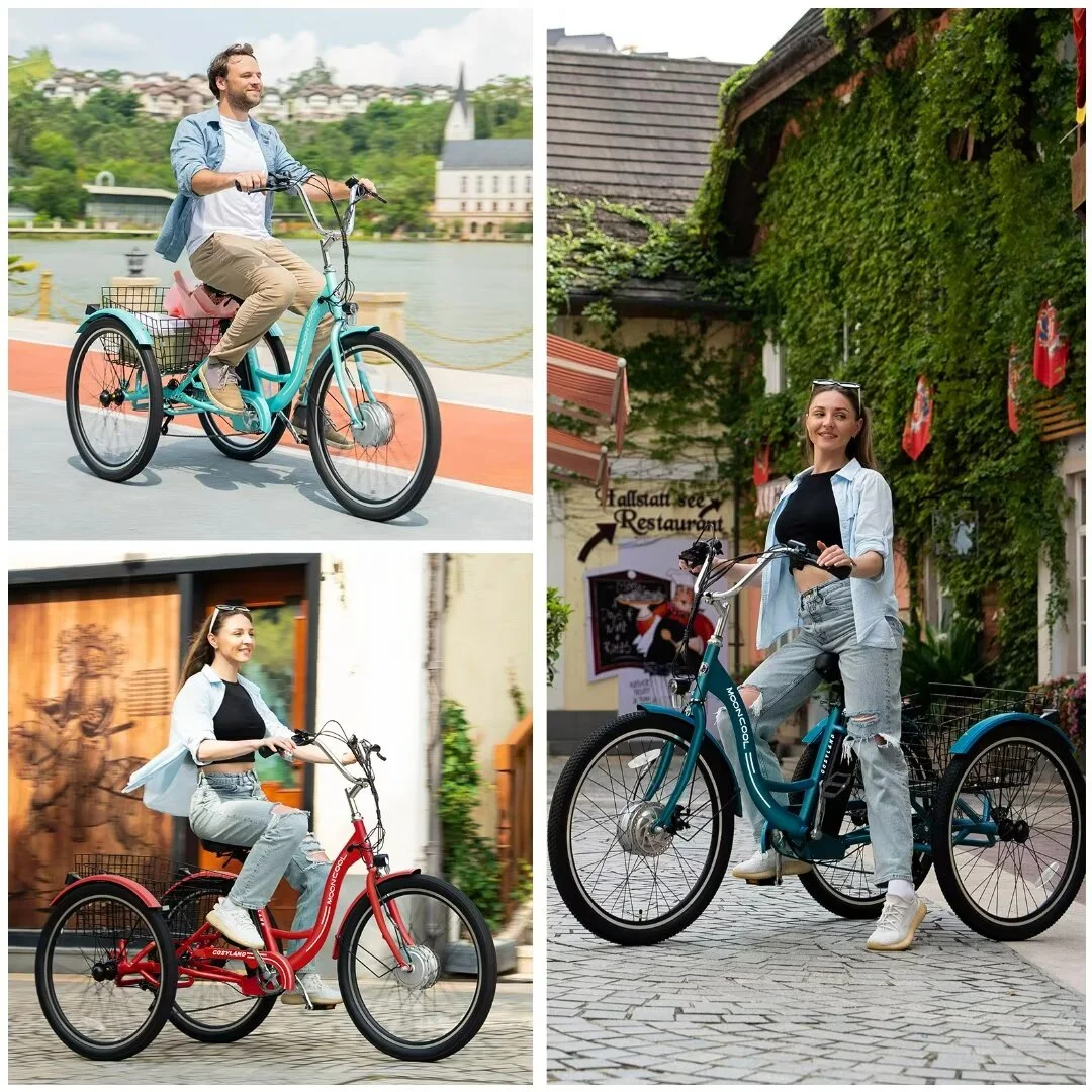 Docred 24 Inch Adult Electric Tricycles 3 Wheel Electric Bike, 15.5 mph 350W Electric Trikes for Seniors,7-Speed & 4 Adjustable Riding Modes Electric Tricycle with 36V Removable Lithium Battery,24Inch
