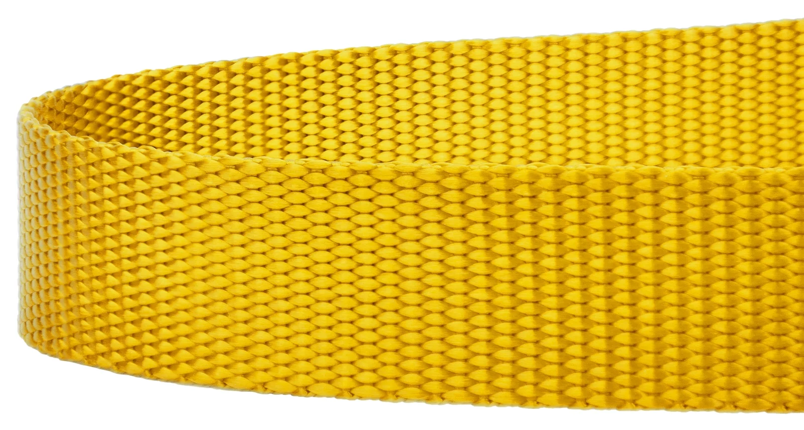 Country Brook Petz® 5/8 inch Nylon Dog Leash - Gold, 6 Foot