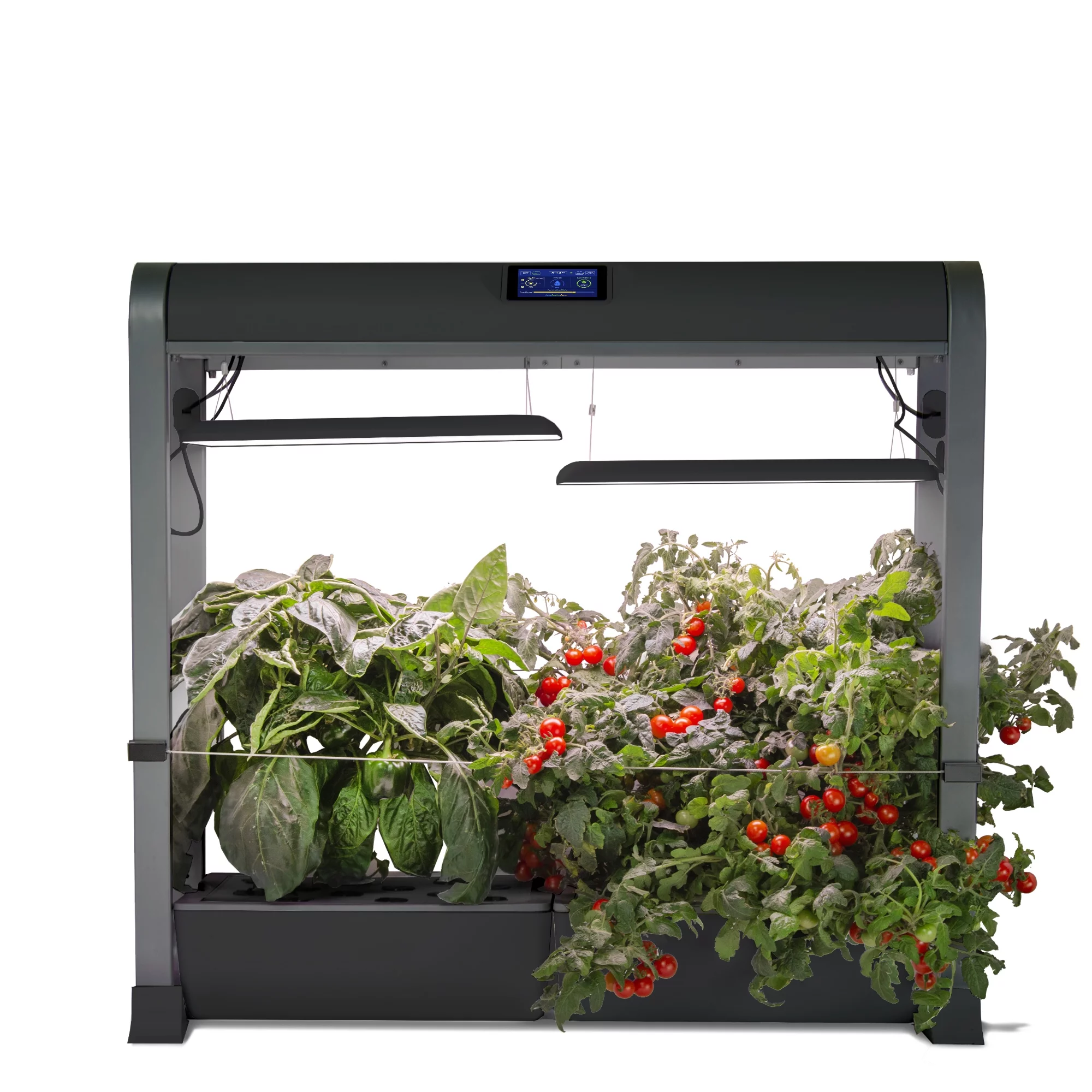 AeroGarden Farm 24Plus with Salad Bar Seed Pod Kit, Black