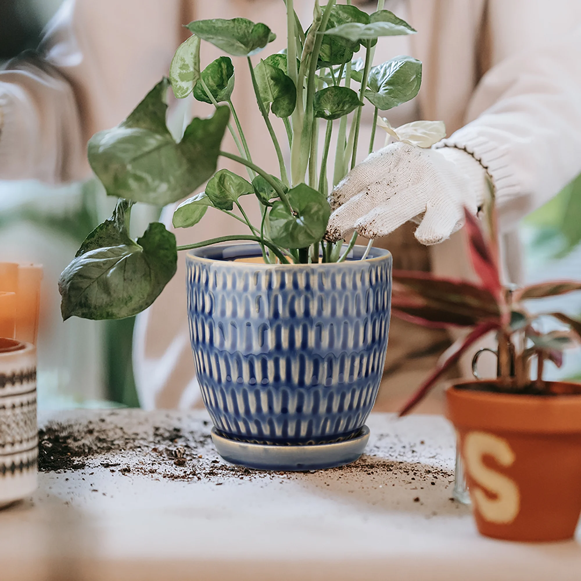 3 Pcs Ceramic Flower Planter Pots 4 Inch with Drainage Hole and Ceramic Tray for Succulents Cactus Indoor Outdoor Garden Home Windowsill Blue