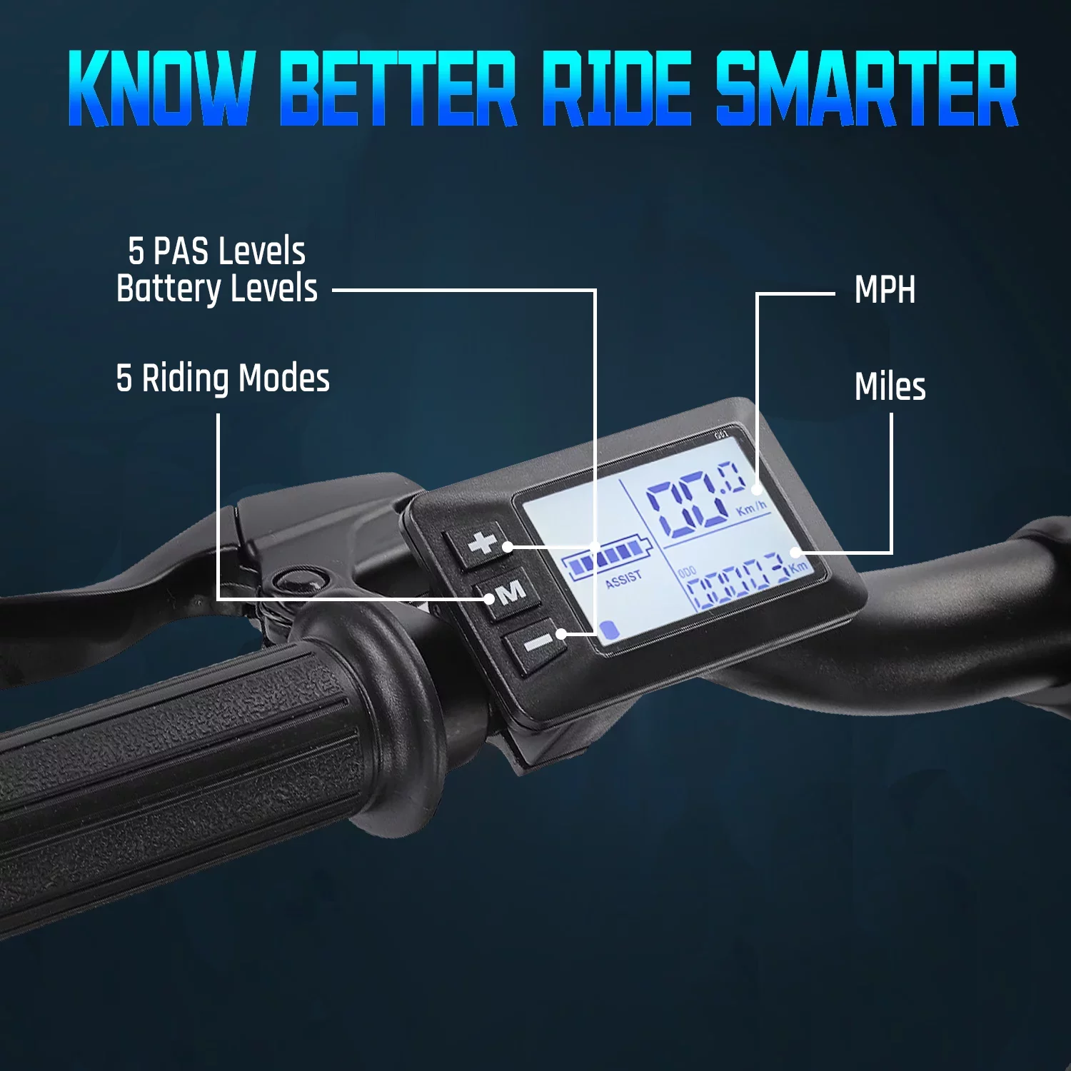 Gocio Electric Bike, 26