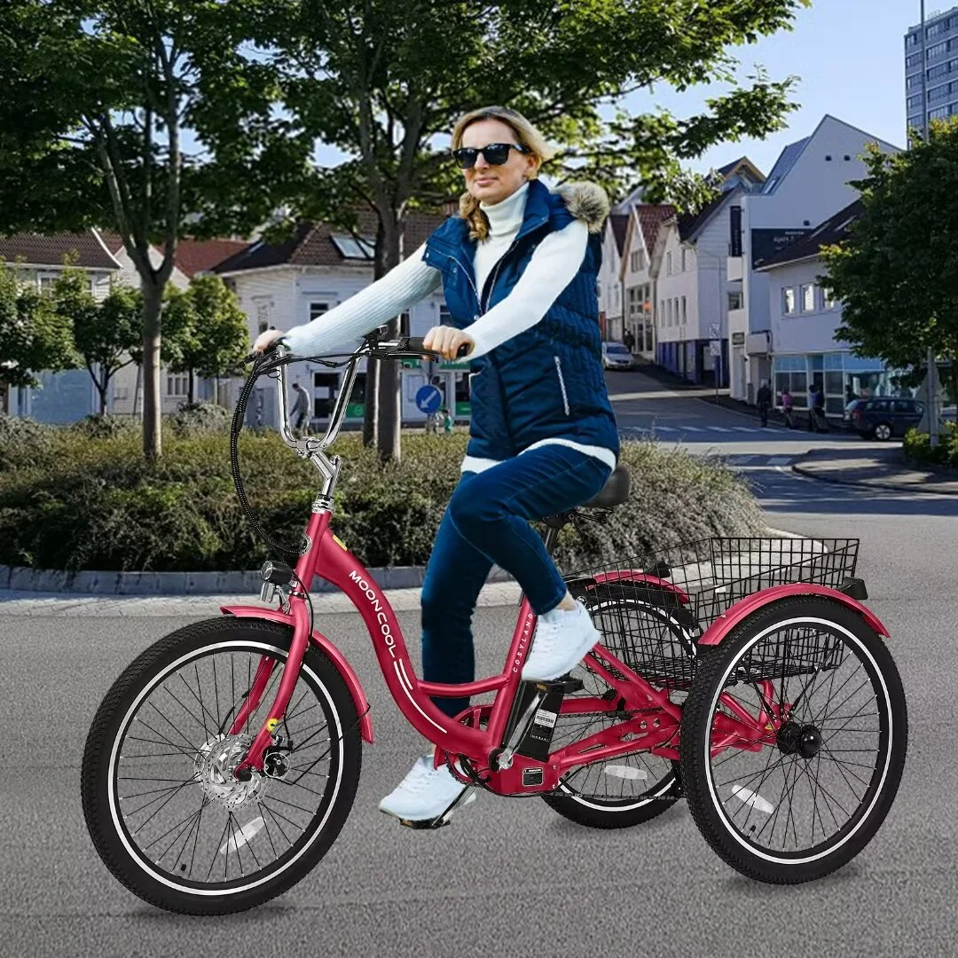 Docred 24 Inch Adult Electric Tricycles 3 Wheel Electric Bike, 15.5 mph 350W Electric Trikes for Seniors,7-Speed & 4 Adjustable Riding Modes Electric Tricycle with 36V Removable Lithium Battery,24Inch
