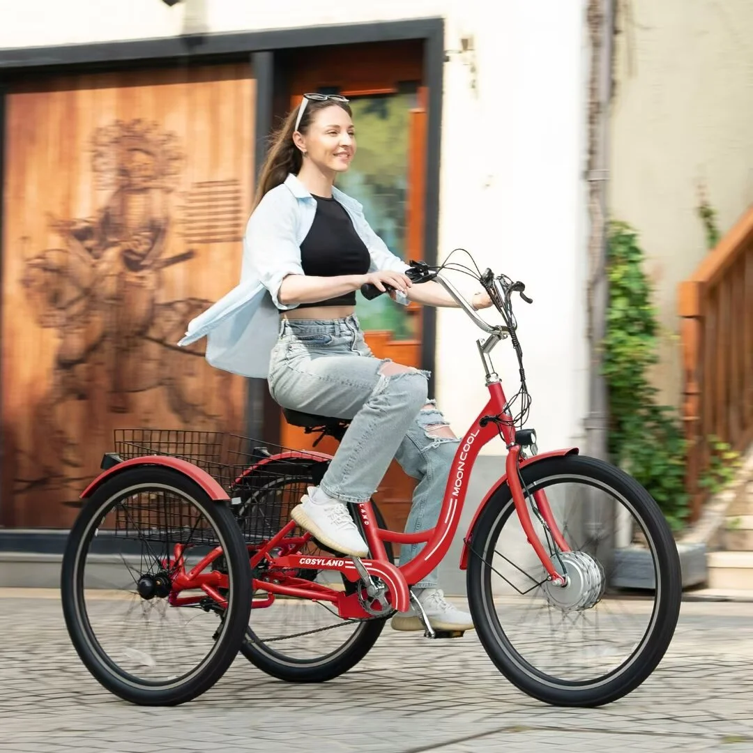 Docred 24 Inch Adult Electric Tricycles 3 Wheel Electric Bike, 15.5 mph 350W Electric Trikes for Seniors,7-Speed & 4 Adjustable Riding Modes Electric Tricycle with 36V Removable Lithium Battery,24Inch