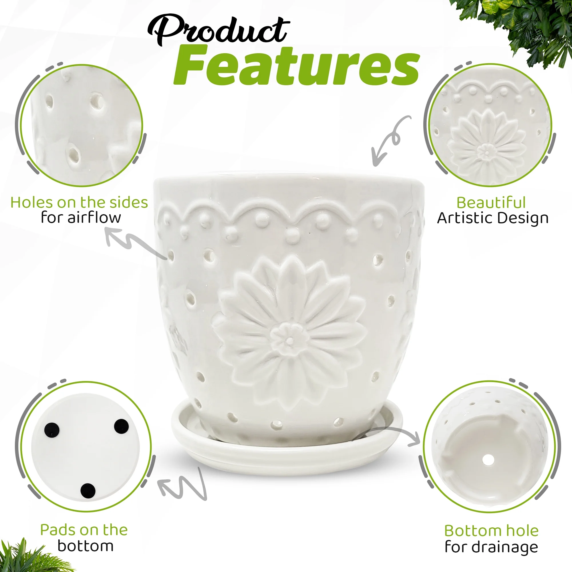WILD ROOTS CO Ceramic Orchid Pot with Holes for repotting. Includes Steel tip prunning Scissors and six Transparent Dragonfly Orchid Clips.