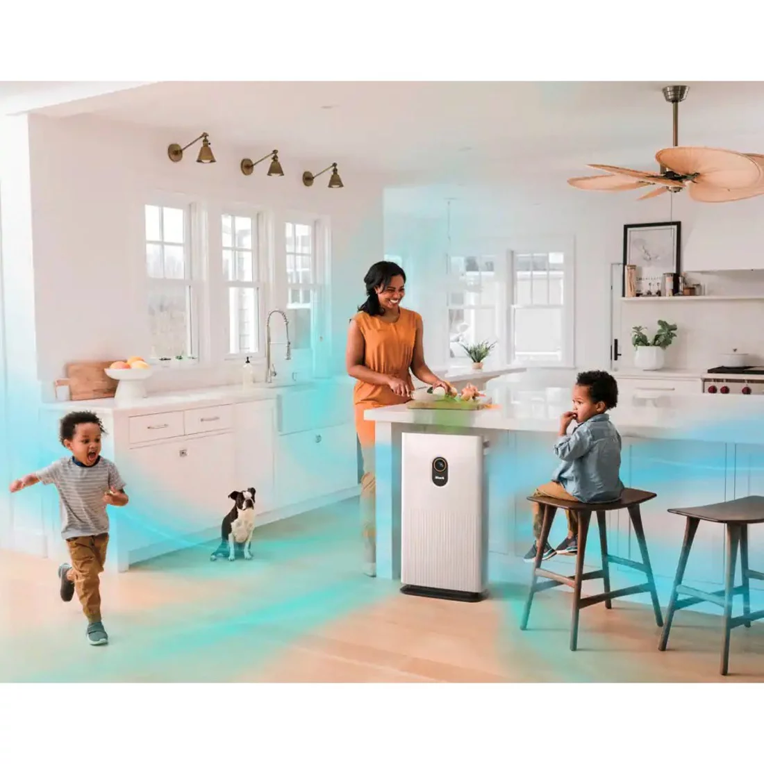 Shark HE601 6 True HEPA Air Purifier With Advanced Odor Lock, 1,200 Sq. Ft. Coverage, White