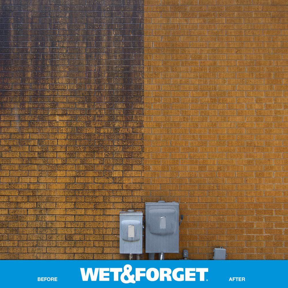 Wet and Forget Moss, Mold, Mildew & Algae Stain Remover, 1 Gallon Concentrate Make 6 Gallons - 3 Pack